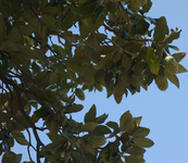 DSC01151.webp