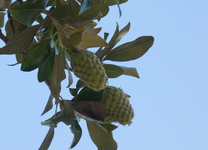 DSC01148.webp
