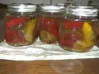 BILD4582.webp