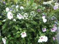 BILD4588.webp