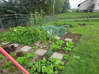 IMG_0762.webp