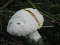 010_1024x768.webp