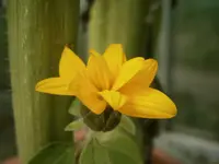 P9080320.webp