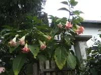 BILD4601.JPG