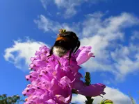 026.webp