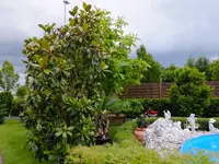 DSCF9215.webp
