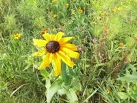 Bilda004.webp
