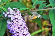 DSCF3175 (3).webp