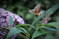 DSCF3178 (2).webp