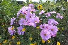 DSCF3116.webp