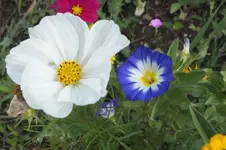 DSCF3131.webp