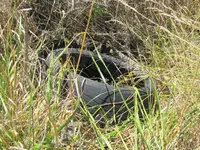 IMG_5687v.webp