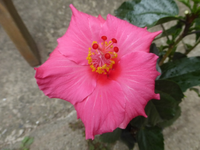 P1520258.webp