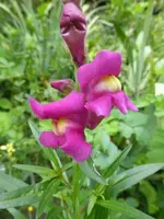 P1520350.webp