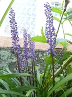 P1520108.webp
