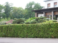 P1490744.webp