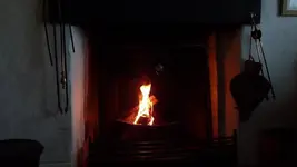 image.webp