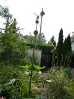 DSCN9164.webp