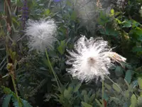 DSCN9874.webp