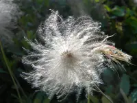 DSCN9876.webp