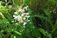 DSCF3215 (2).webp