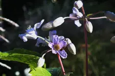 DSCF3219 (2).webp