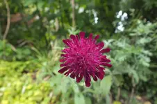 DSCF3114.webp