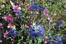 DSCF3214 (2).webp