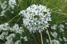 DSCF3153.webp