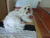 P1510658.webp
