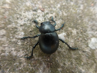P1520481.webp