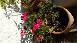 2015-09-09 08.46.54 - Kopie.webp