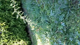 2015-09-09 08.50.57 - Kopie.jpg
