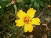 P9110333.webp