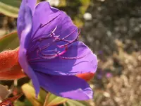 P9110336.webp