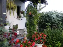 DSCF9028.webp