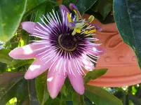 DSCF9048.webp