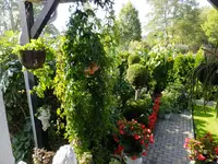 DSCF9047.webp
