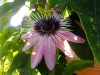 DSCF9055.webp