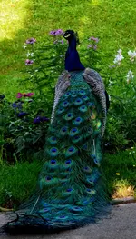 DSC_5716.jpg
