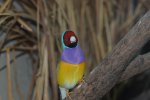 DSC_5702.jpg