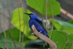 DSC_5701.jpg