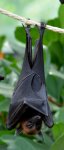DSC_5797.JPG