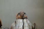 DSC_5704.jpg