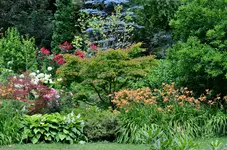 DSC_5783.jpg