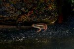 DSC_5789.jpg