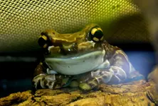 DSC_5787.webp