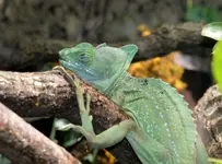 DSC_5786.jpg