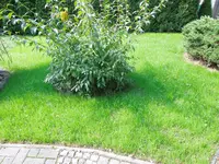 DSCN6602.webp