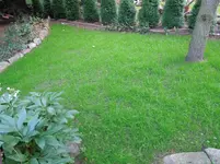 DSCN6604.jpg